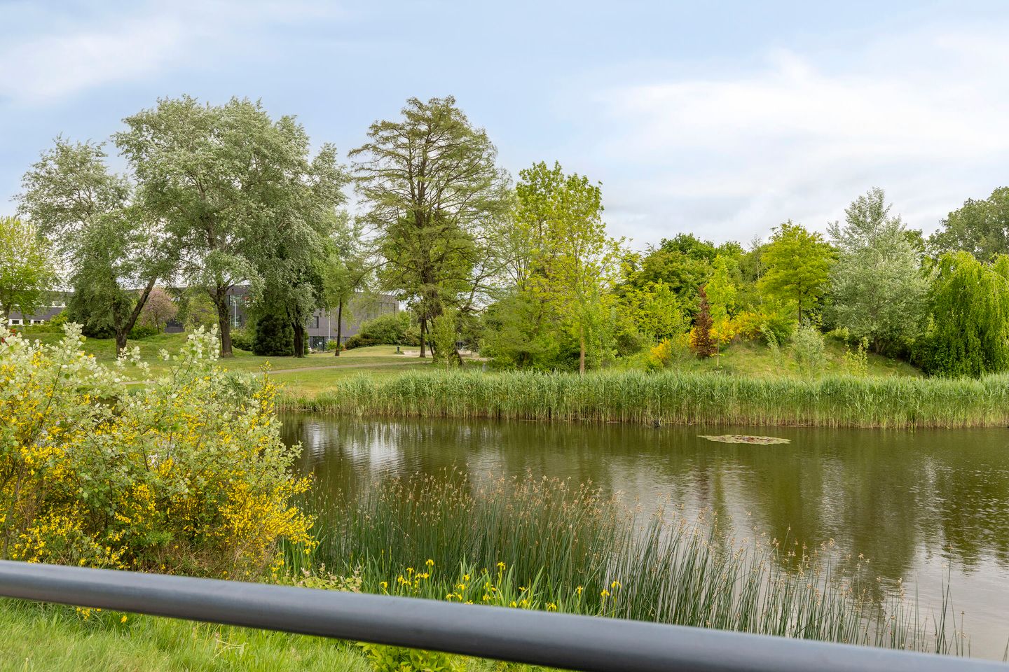 Foto 29 van Heer Arnoudstraat 51