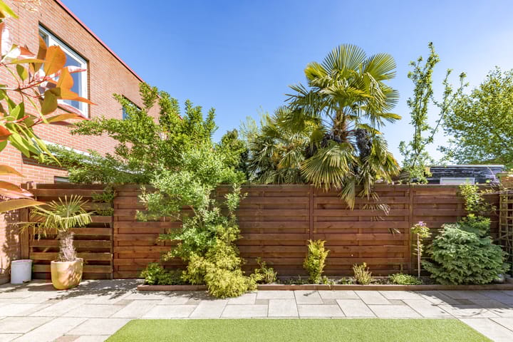 Foto 24 van Rumbastraat 103