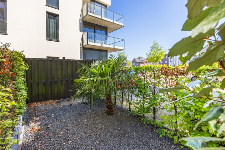 Foto 25 van Olivier van Noortstraat 26-F