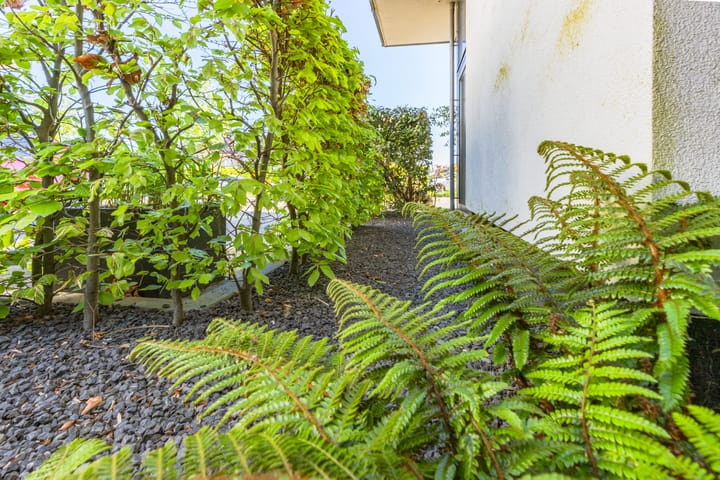 Foto 26 van Olivier van Noortstraat 26-F