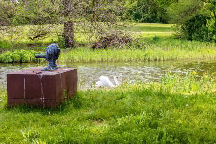 Foto 40 van Mevrouw De Rooweg 141