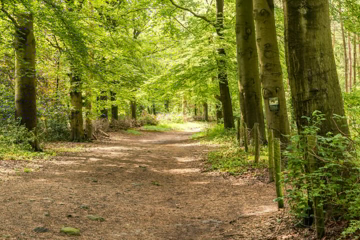 Foto 33 van Sperwerlaan 7-B