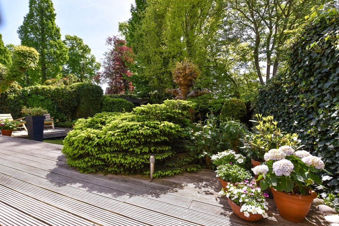 Foto 38 van Kievitslaan 97