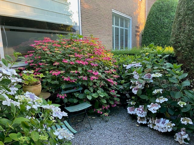 Foto 41 van Kievitslaan 97