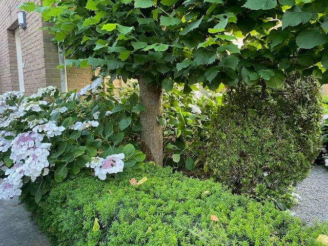 Foto 42 van Kievitslaan 97