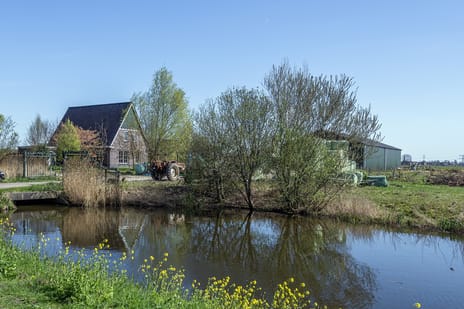 Rietbroekweg thumbnail