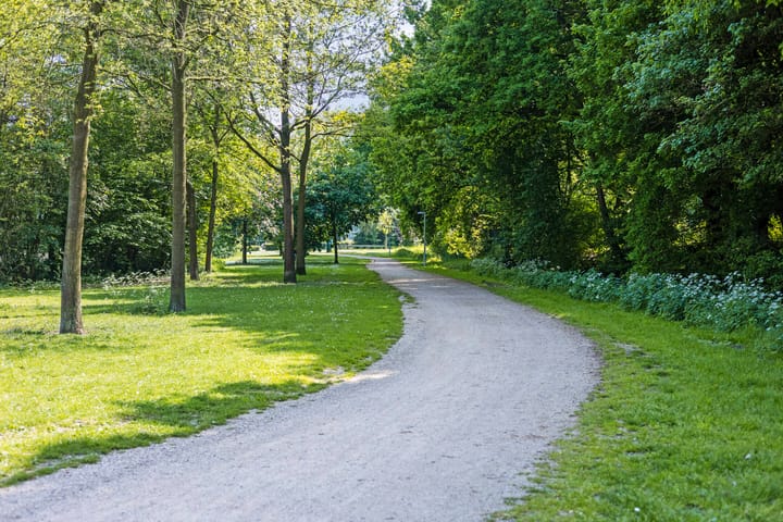 Foto 28 van Palissade 8