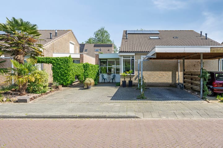 Foto 31 van Palissade 8