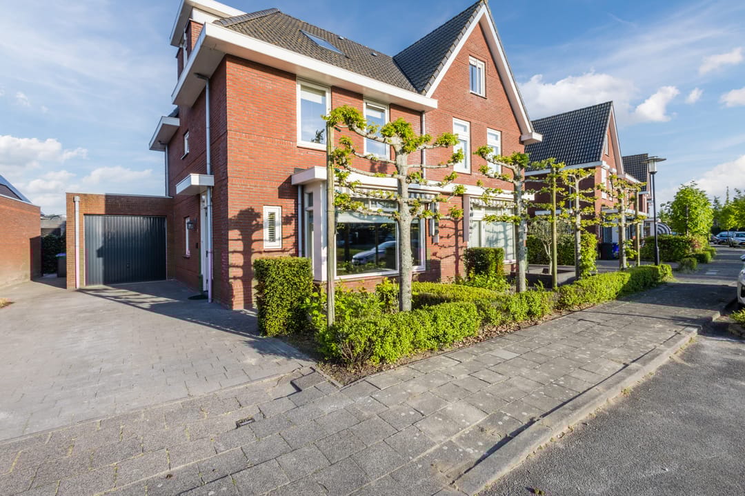 Foto 1 van Kraanvogel 8