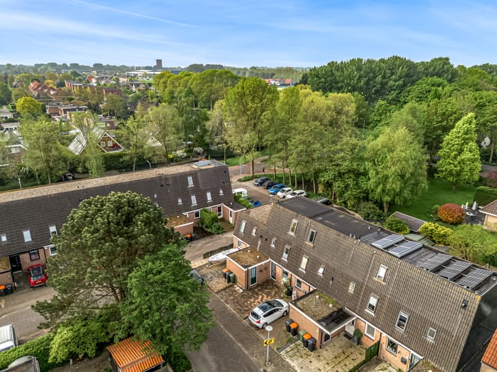 Foto 3 van Ridderspoor 58