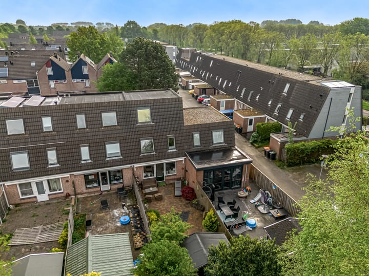 Foto 10 van Ridderspoor 58