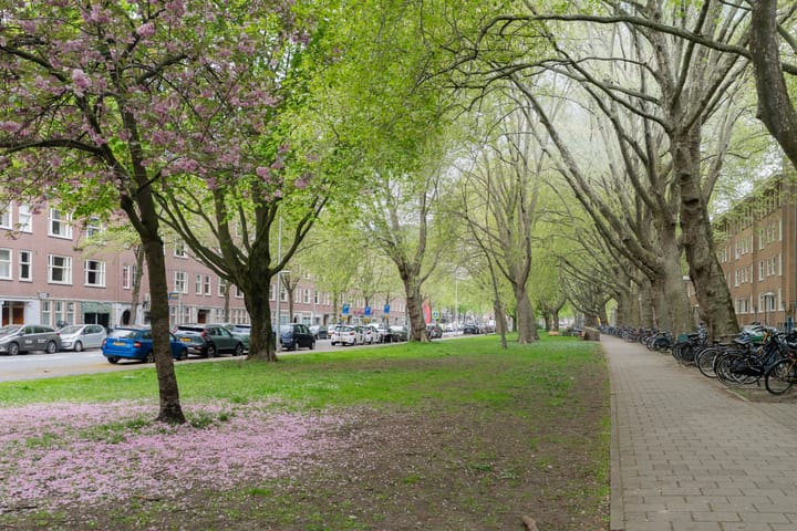 Foto 32 van Willem de Zwijgerlaan 80-3