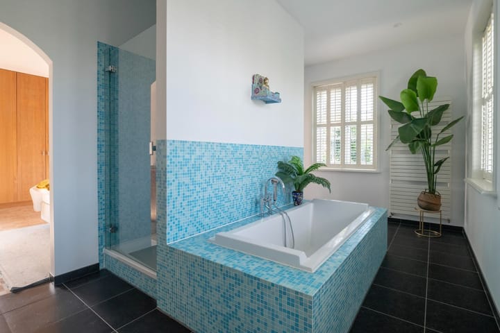 Foto 23 van Ringvaartweg 229