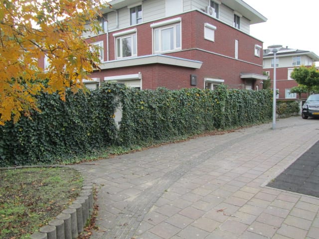 Foto 24 van Renate Rubinsteinlaan 19