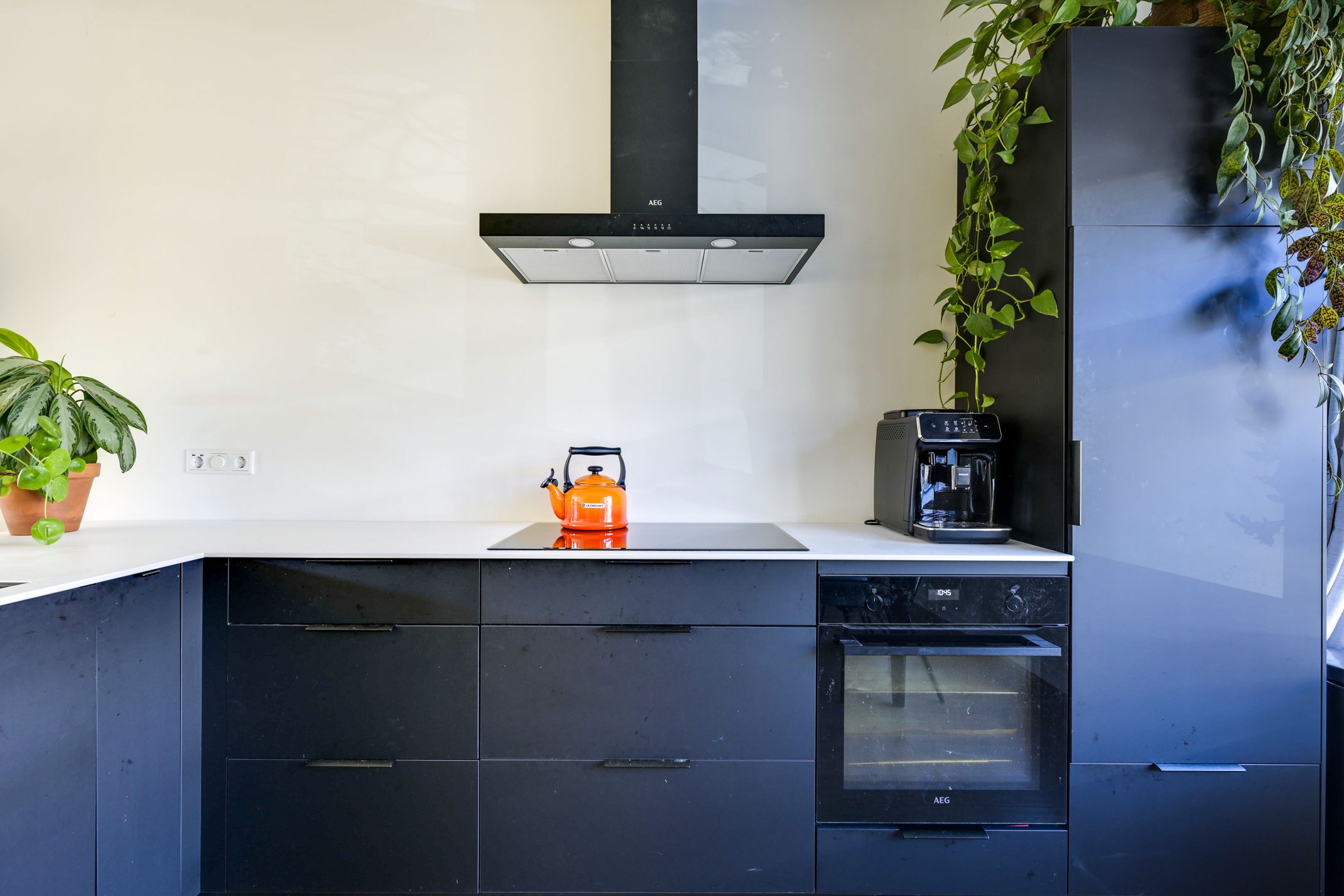 Foto 3 van Laan van Nieuw-Guinea 12-BSA