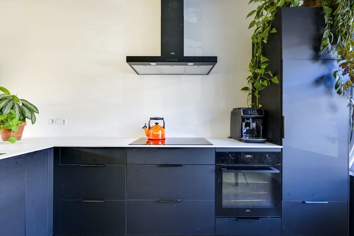 Foto 3 van Laan van Nieuw-Guinea 12-BSA