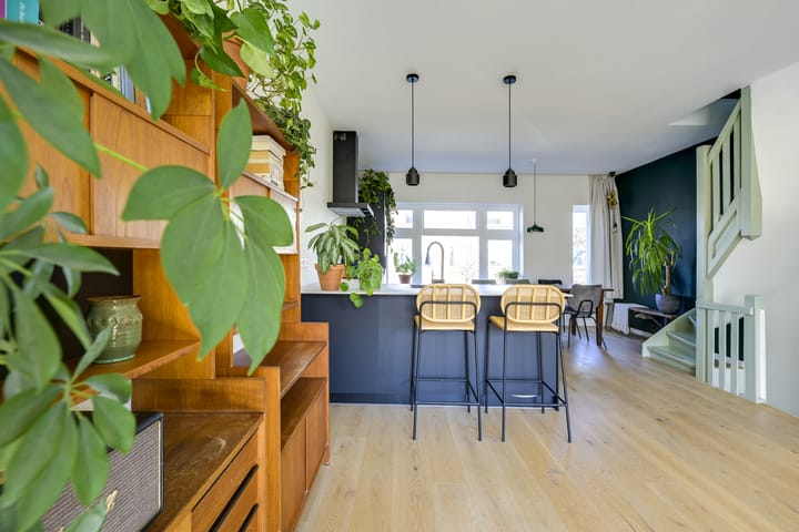 Foto 11 van Laan van Nieuw-Guinea 12-BSA