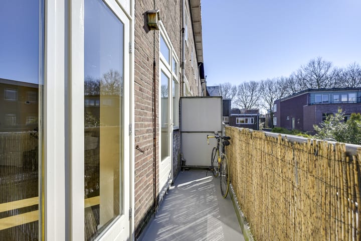 Foto 20 van Laan van Nieuw-Guinea 12-BSA