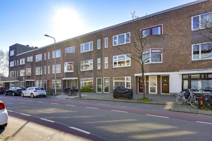 Foto 41 van Laan van Nieuw-Guinea 12-BSA