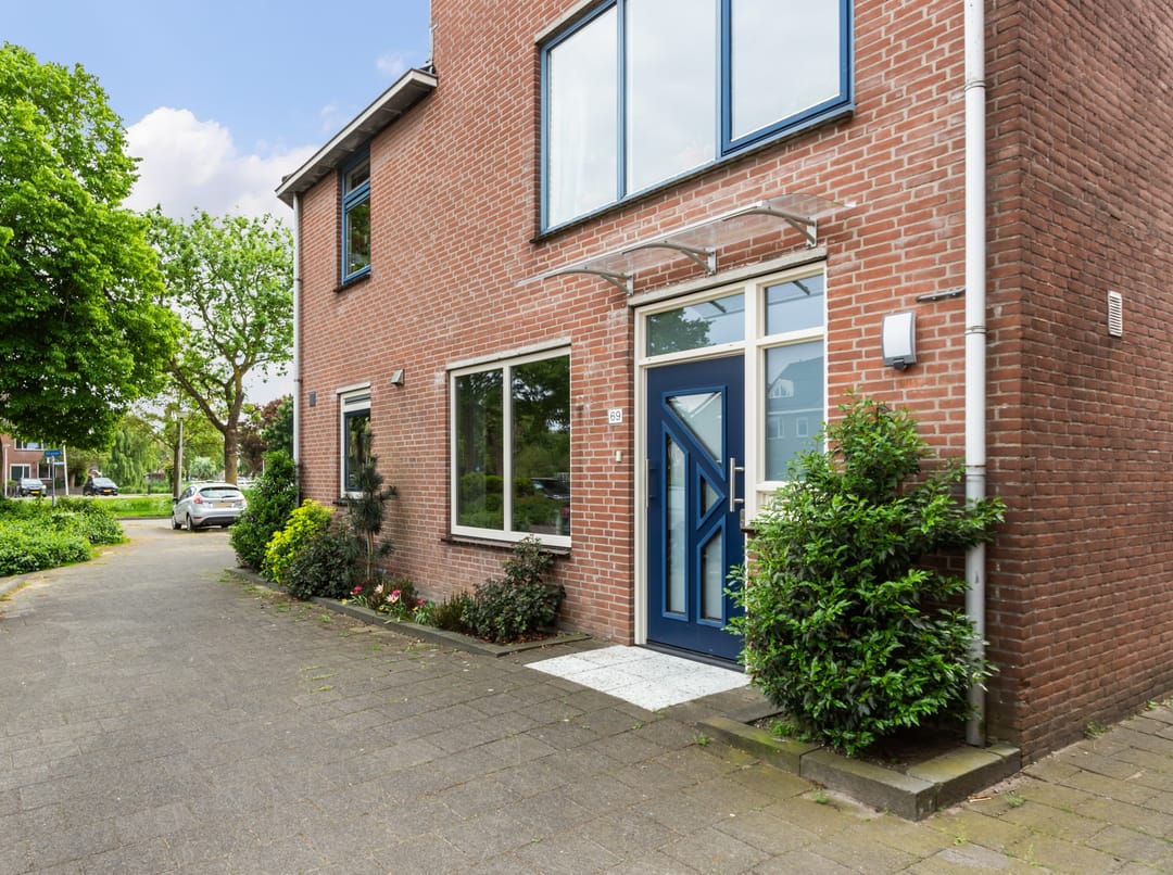 Foto 1 van Goudplevier 69