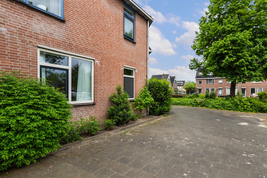 Foto 46 van Goudplevier 69