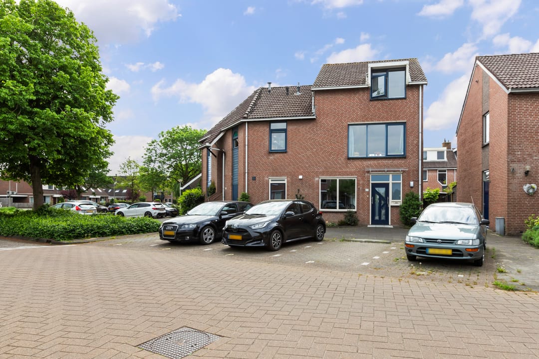 Foto 47 van Goudplevier 69