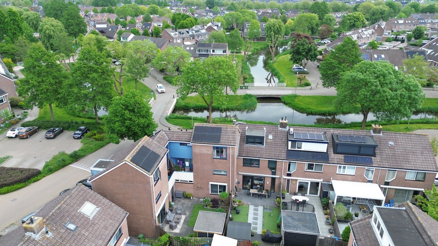 Foto 49 van Goudplevier 69