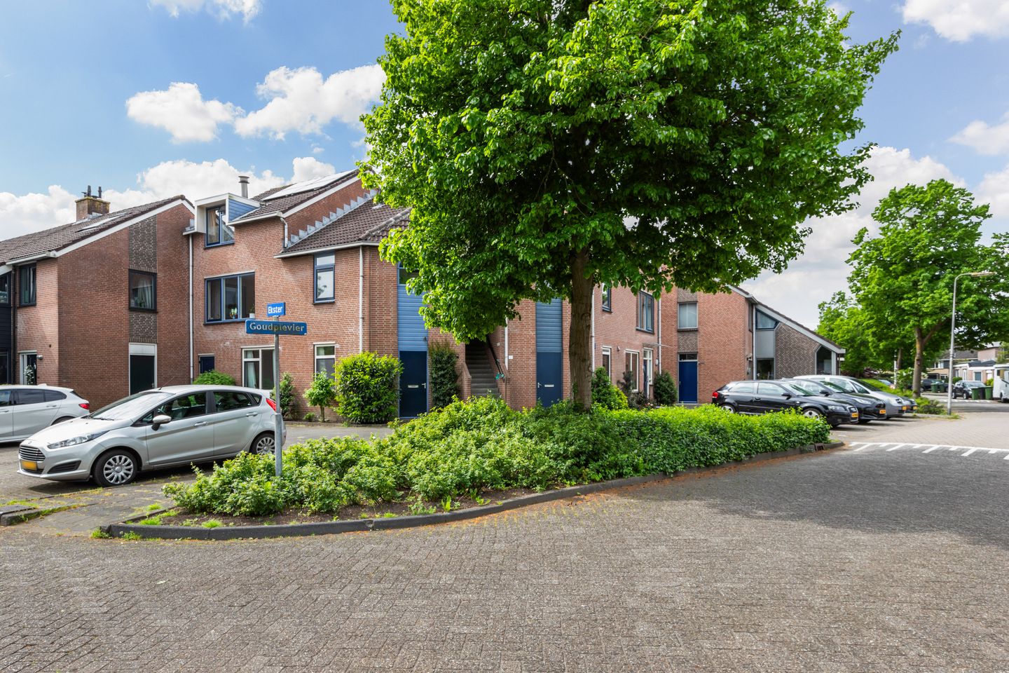 Foto 50 van Goudplevier 69