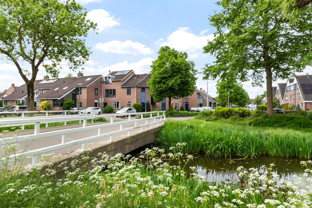 Foto 52 van Goudplevier 69