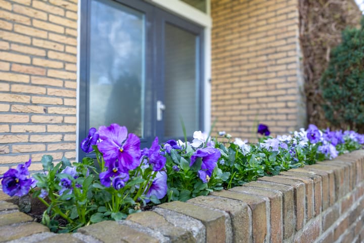 Foto 7 van Thorbeckelaan 29