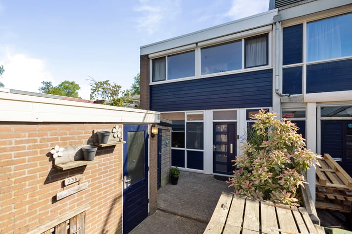 Foto 1 van Schrijnwerkershorst 236