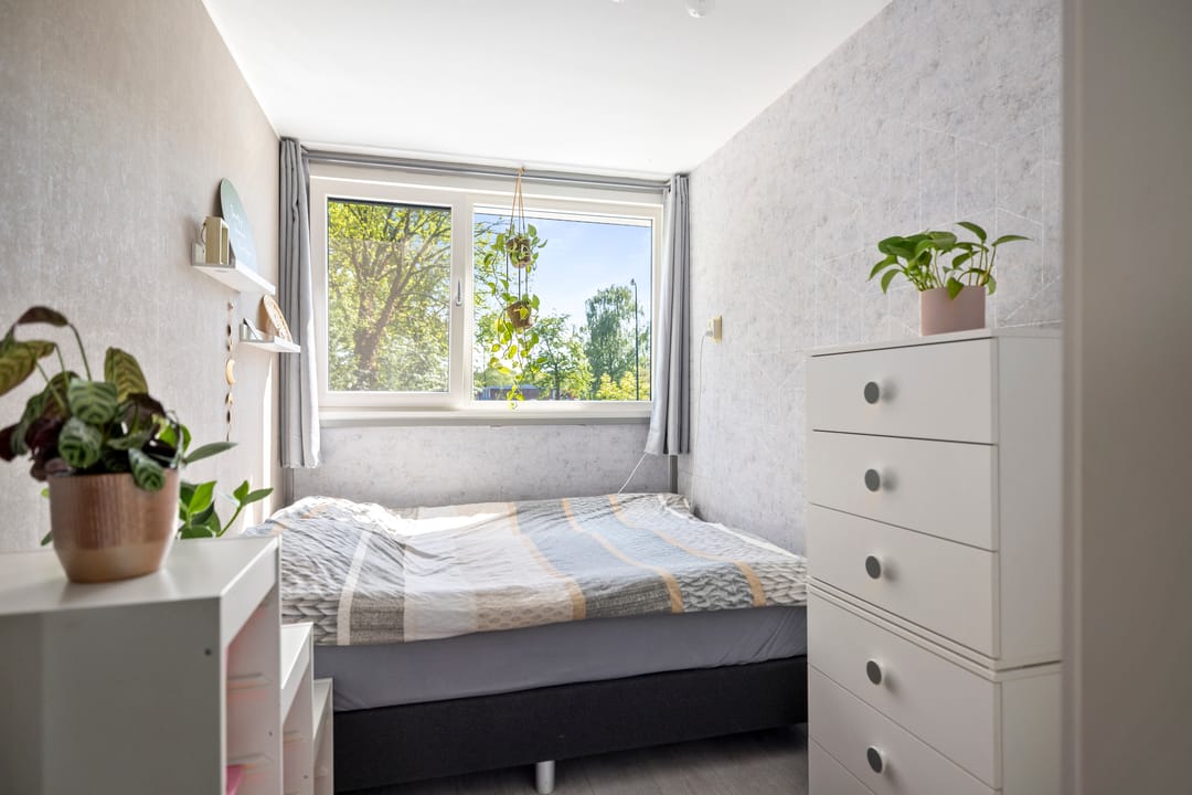 Foto 11 van Schrijnwerkershorst 236