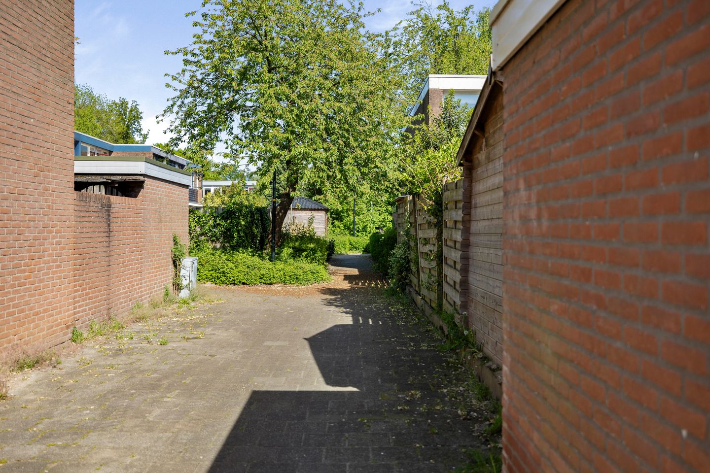 Foto 20 van Schrijnwerkershorst 236