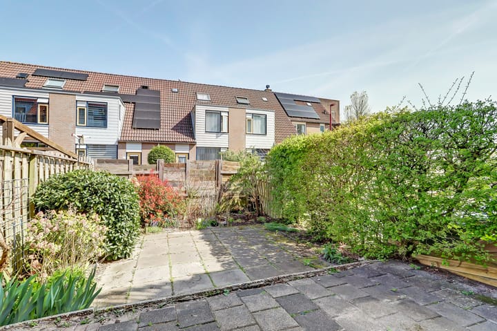 Foto 22 van Orvelterdek 31