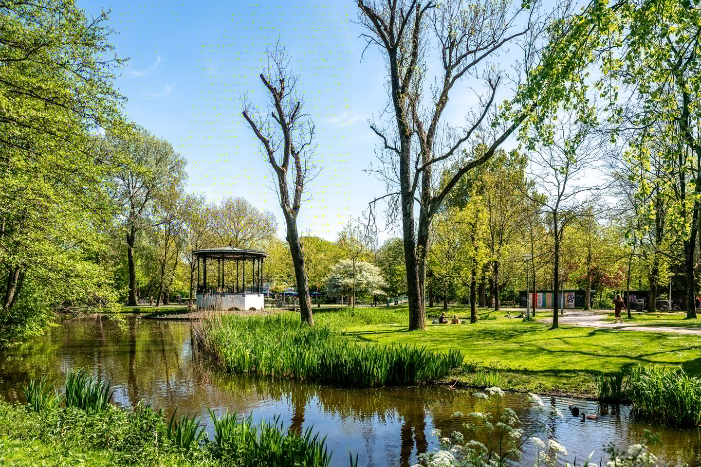 Foto 29 van Wilhelminastraat 85-1