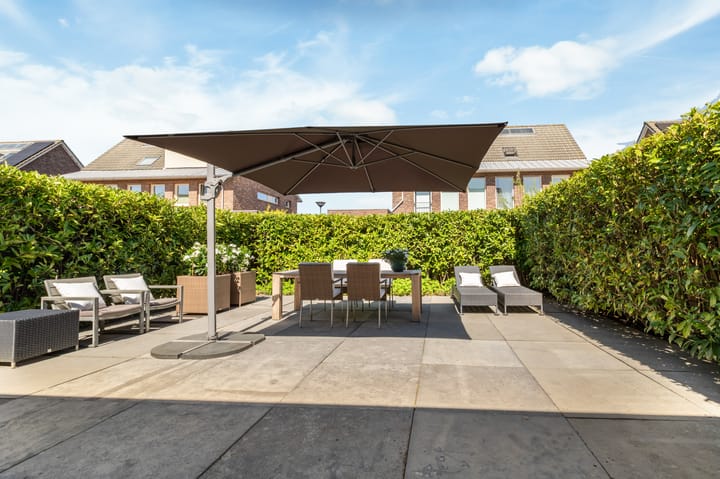 Photo 5 of Colonnade 24