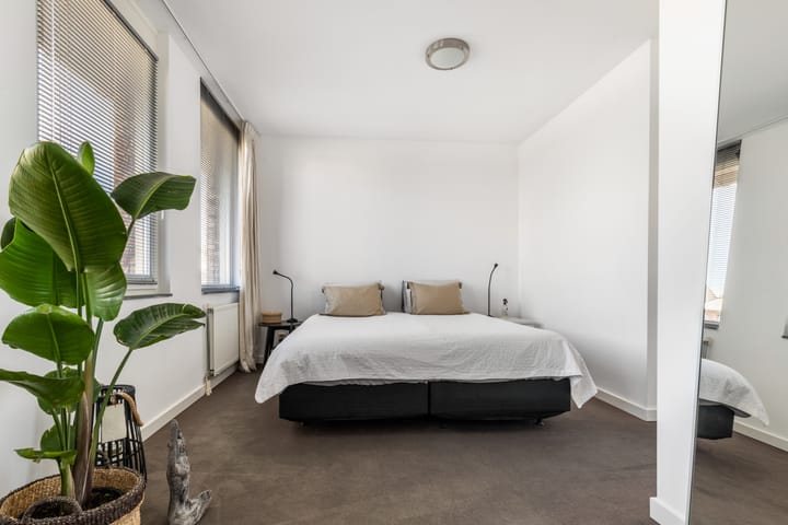 Photo 30 of Colonnade 24