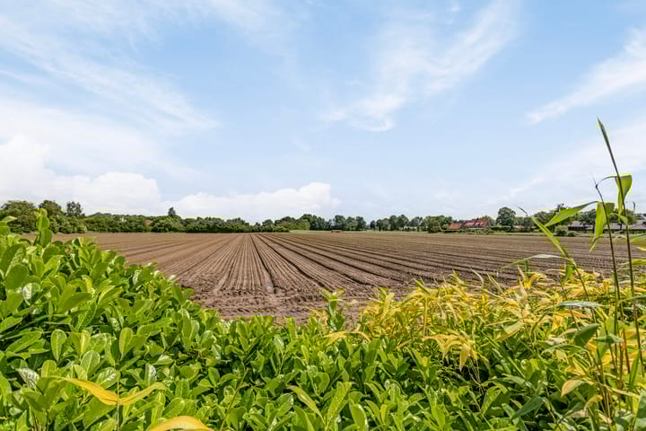 Foto 77 van Bosschebaan 2-A