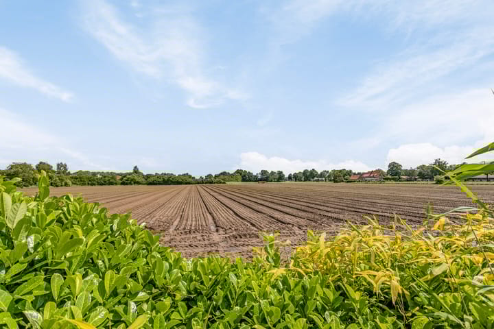 Foto 78 van Bosschebaan 2-A