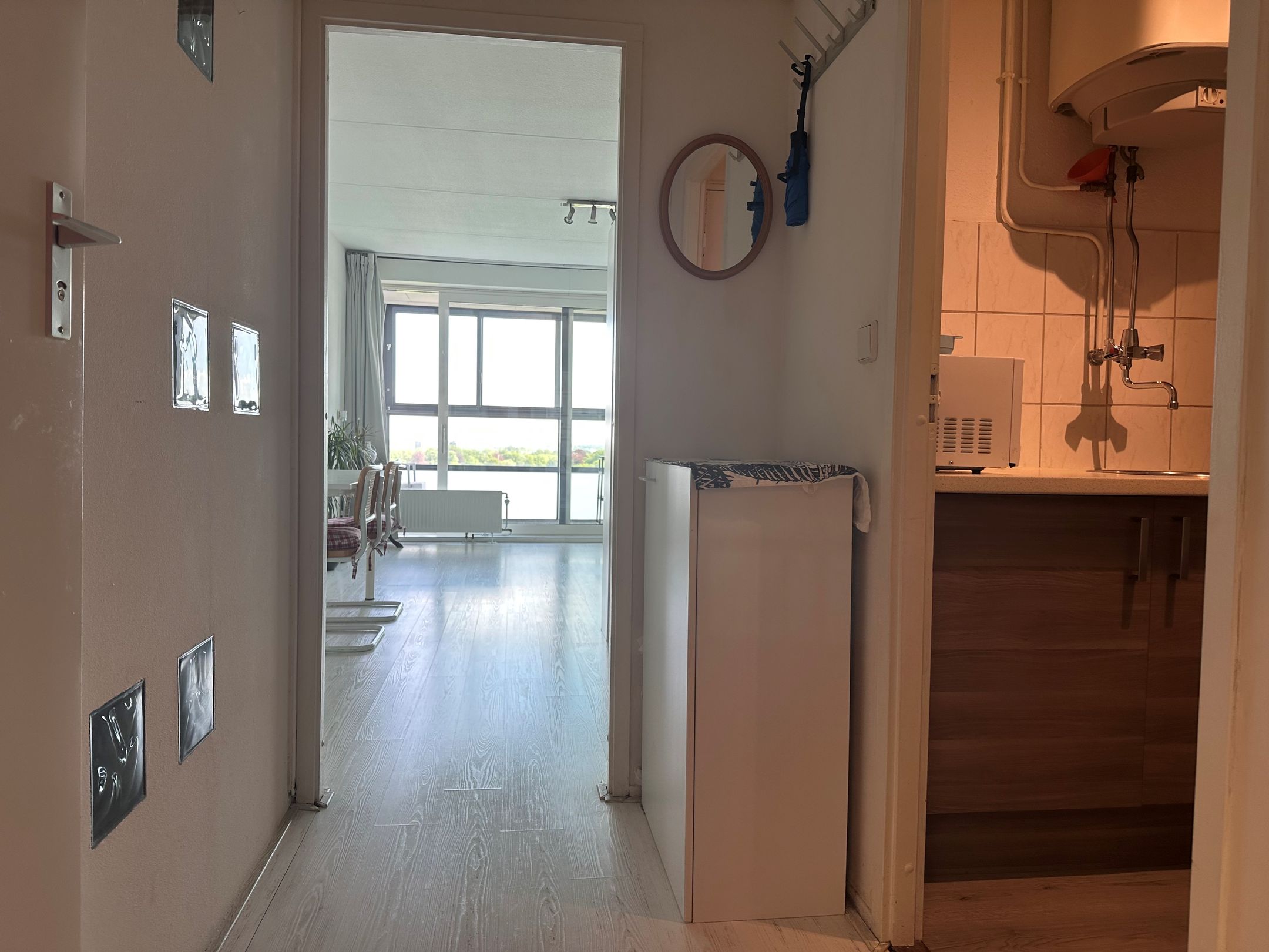 Foto 6 van Loolaan 41-169