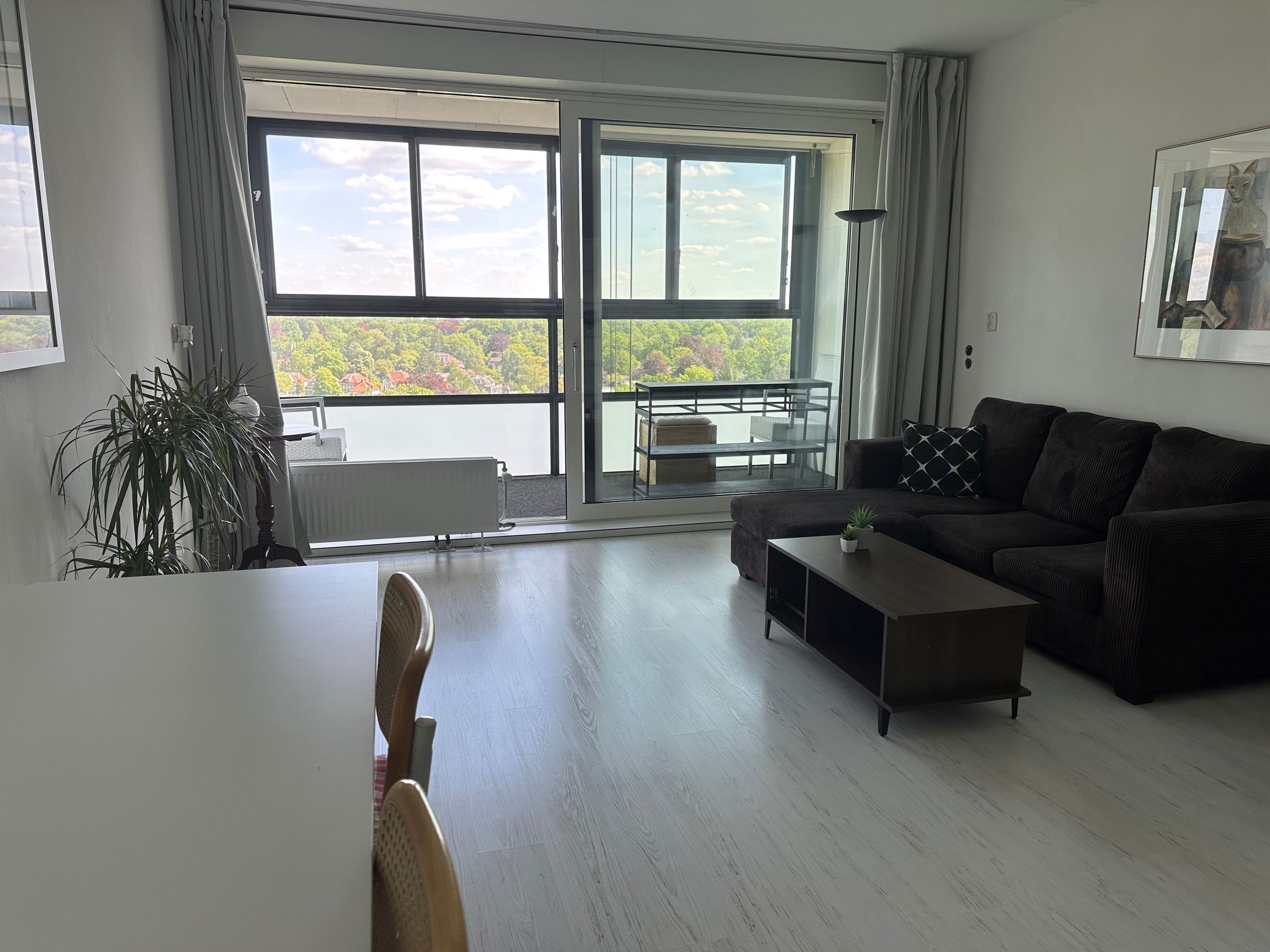 Foto 9 van Loolaan 41-169