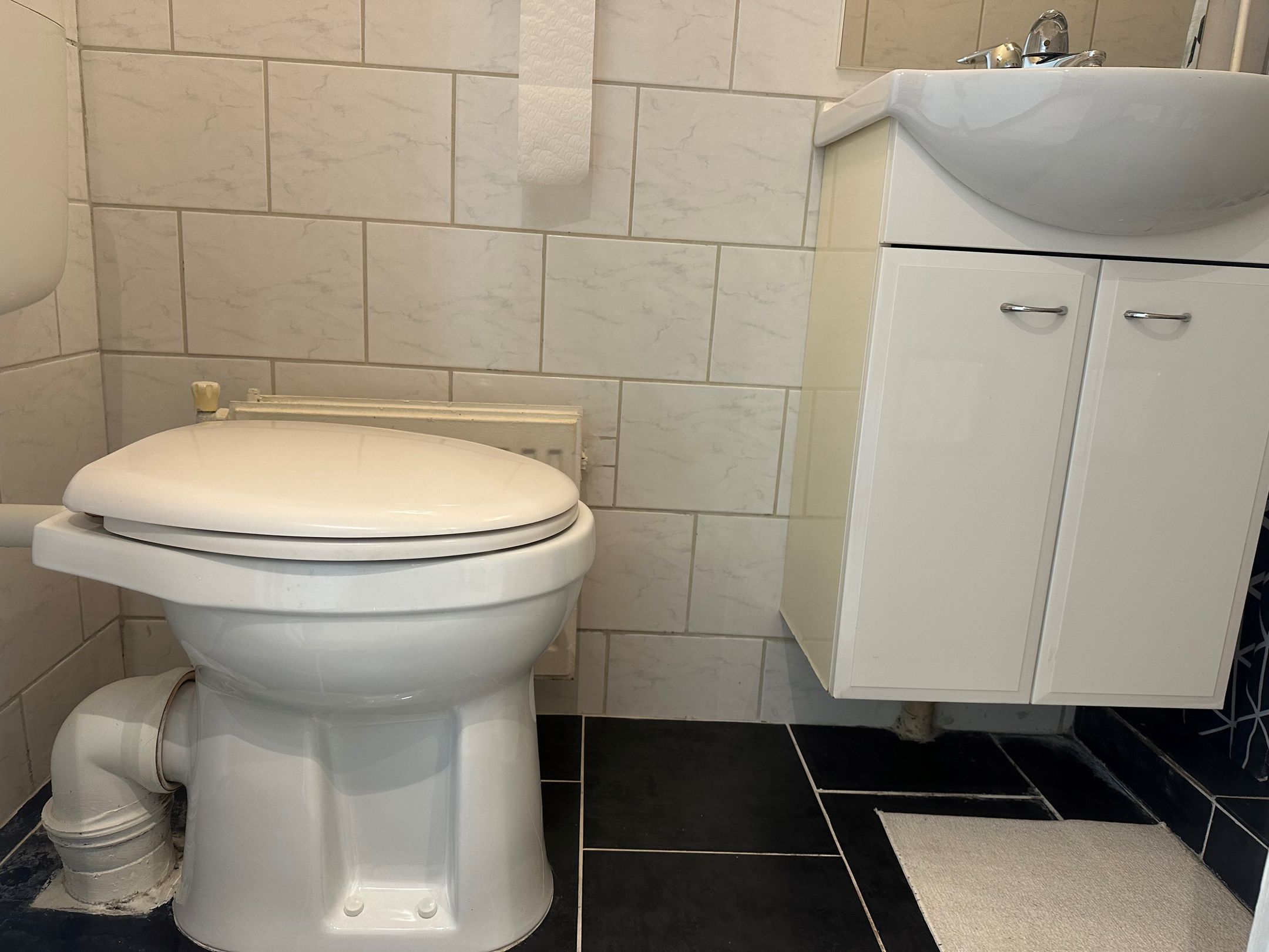 Foto 12 van Loolaan 41-169