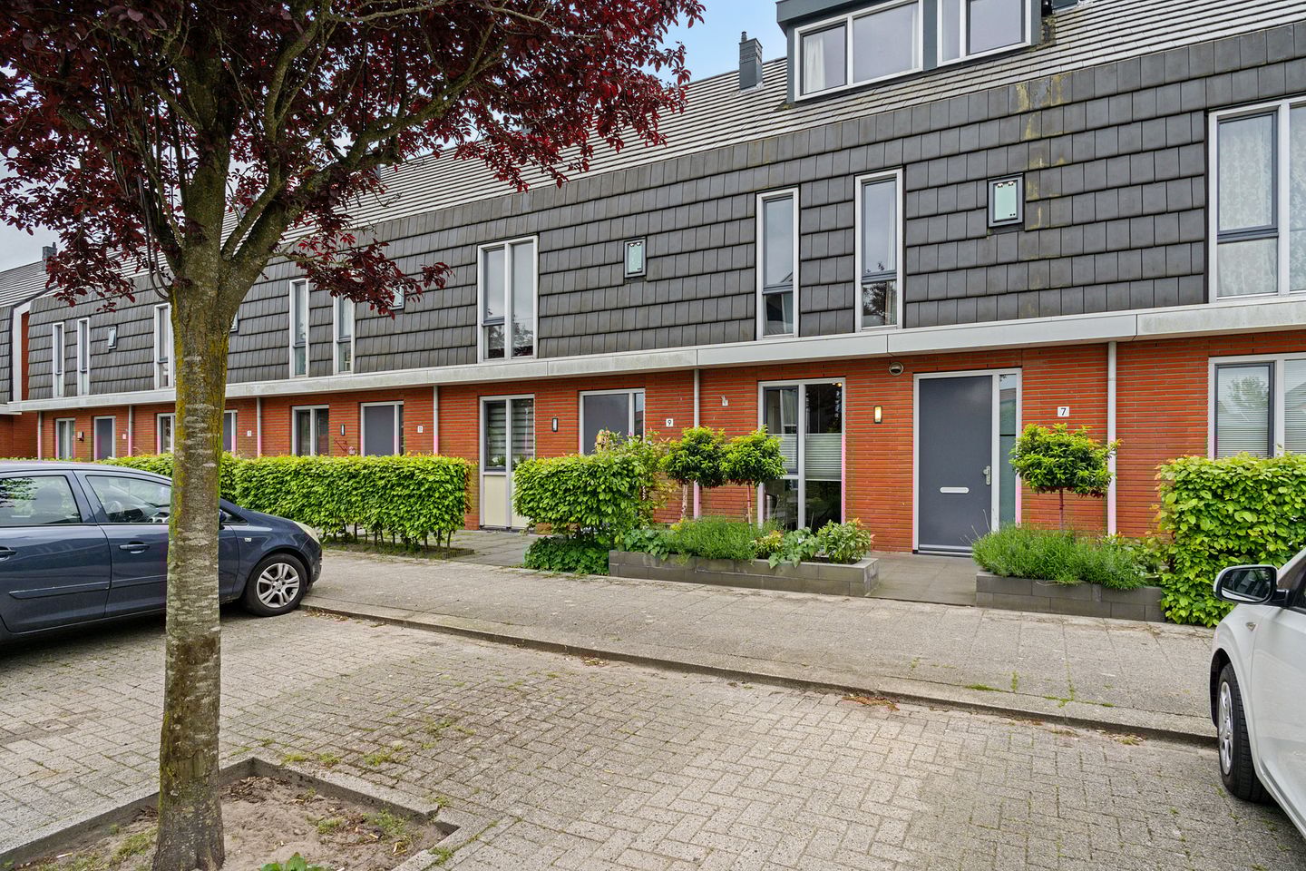 Foto 5 van Taagstroom 7