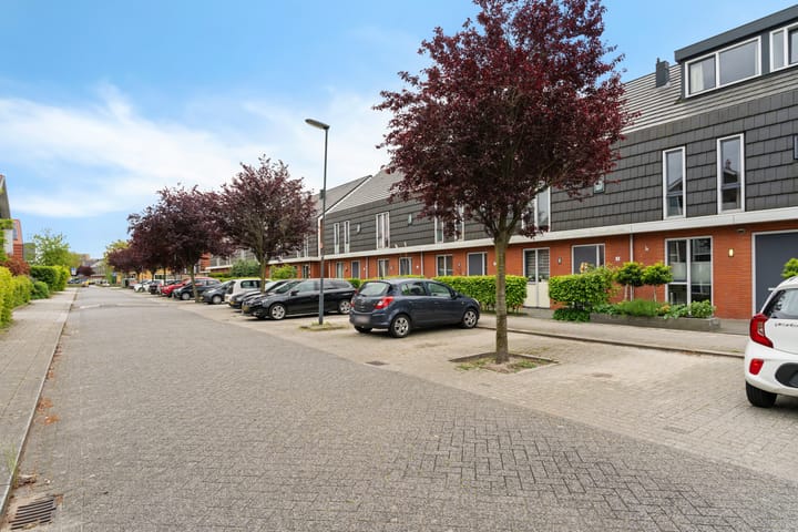 Foto 50 van Taagstroom 7