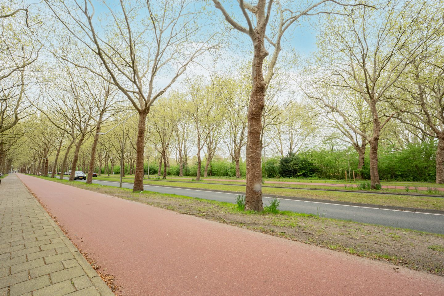 Foto 20 van Van Nijenrodeweg 329