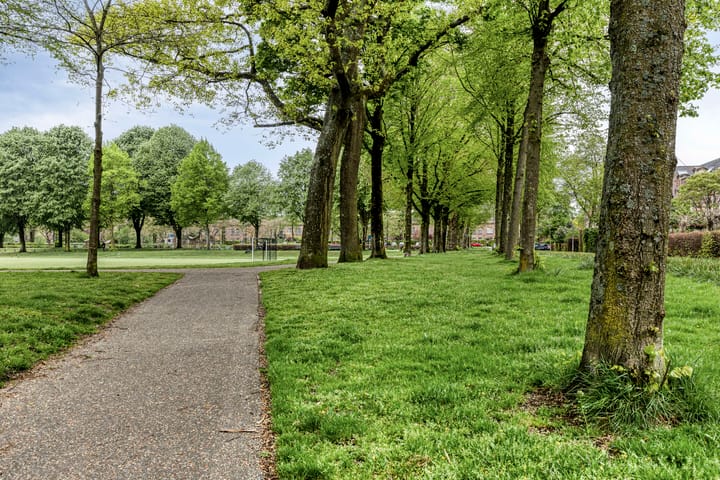 Foto 32 van Graaf Adolflaan 1