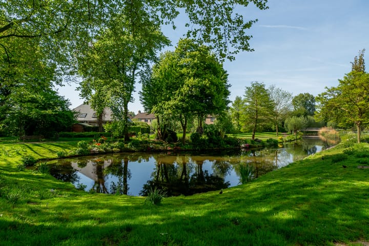 Foto 6 van Beukvaren 3