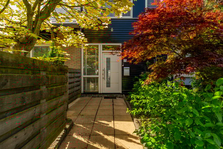 Foto 7 van Beukvaren 3