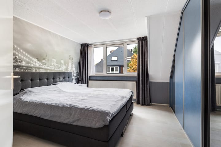 Foto 23 van Beukvaren 3