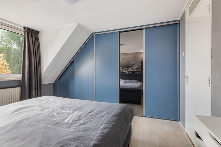 Foto 24 van Beukvaren 3